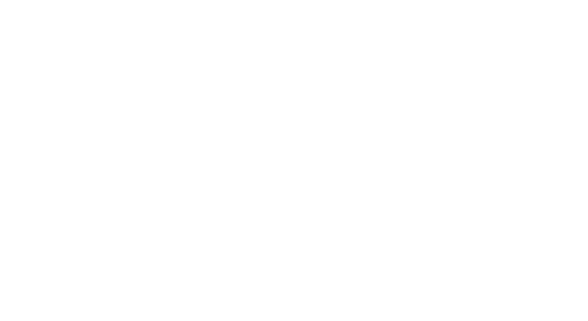 WeberAir Logo